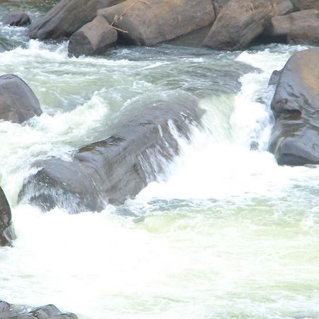 Adventure Base Camp Kitulgala Exterior photo