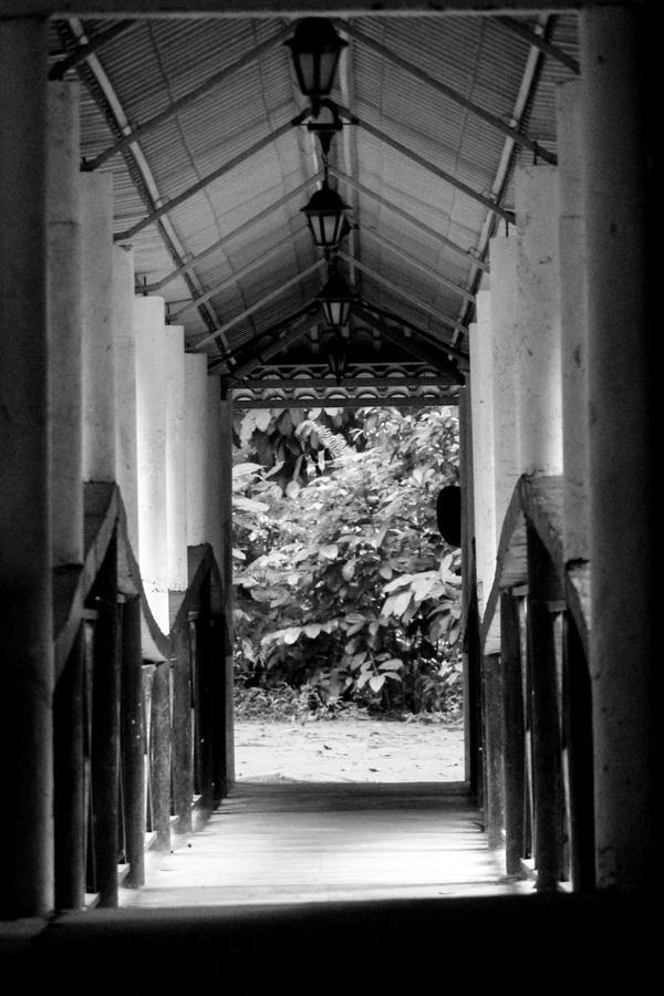 Adventure Base Camp Kitulgala Exterior photo